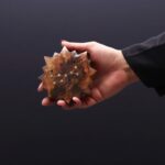 Engraved and Brass Zodiac Sign Incense Burner - Sun - Image 8