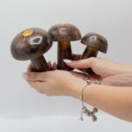 Set of 3 Incense Cone Mushrooms ((10cm 9cm 8cm) - Image 4