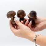 Set of 3 Mini Incense Mushrooms (8cm 7cm 6.5cm) - Image 6