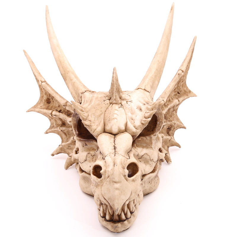 DRG390_001 Decorative Fantasy Dragon Skull - Image 1