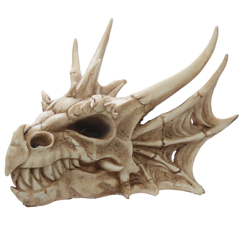 DRG431_001 Collectable Dragon Skull - Image 1