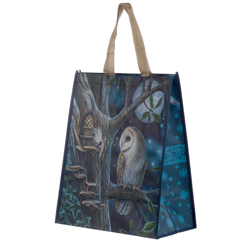 NWBAG63_001 Durable Reusable Shopping Bag - Lisa Parker Fairy Tales Owl & Fairy - Image 1