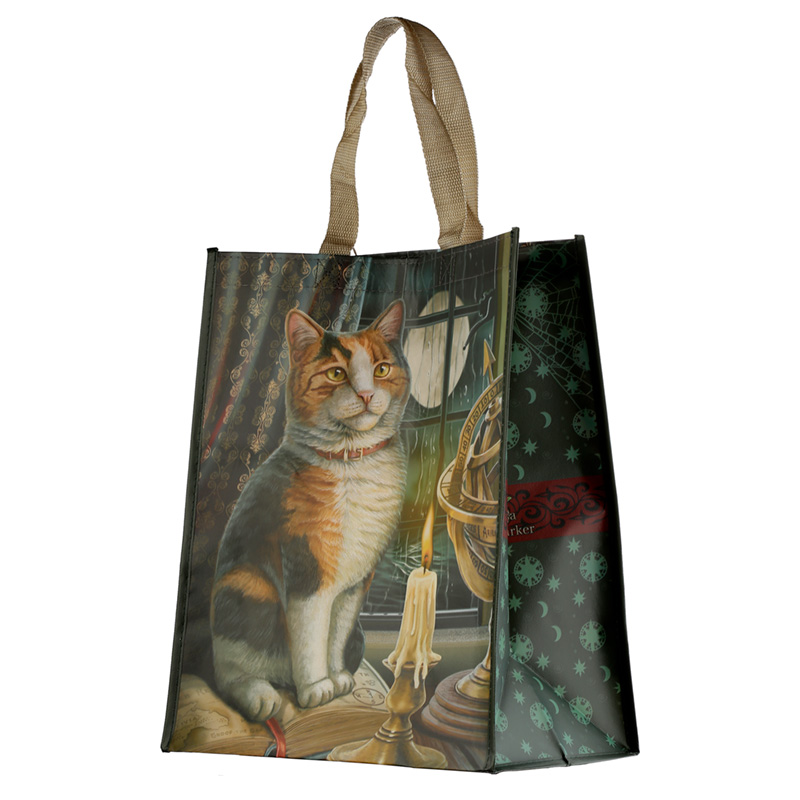 NWBAG79_001 Durable Reusable Shopping Bag - Lisa Parker Adventure Awaits Cat - Image 1